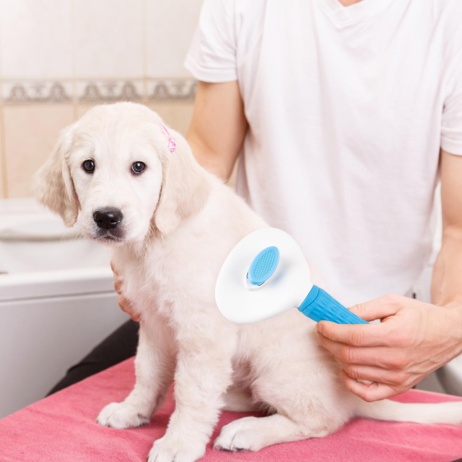 Depets brosse usage quotidien pelage facile à entretenir.