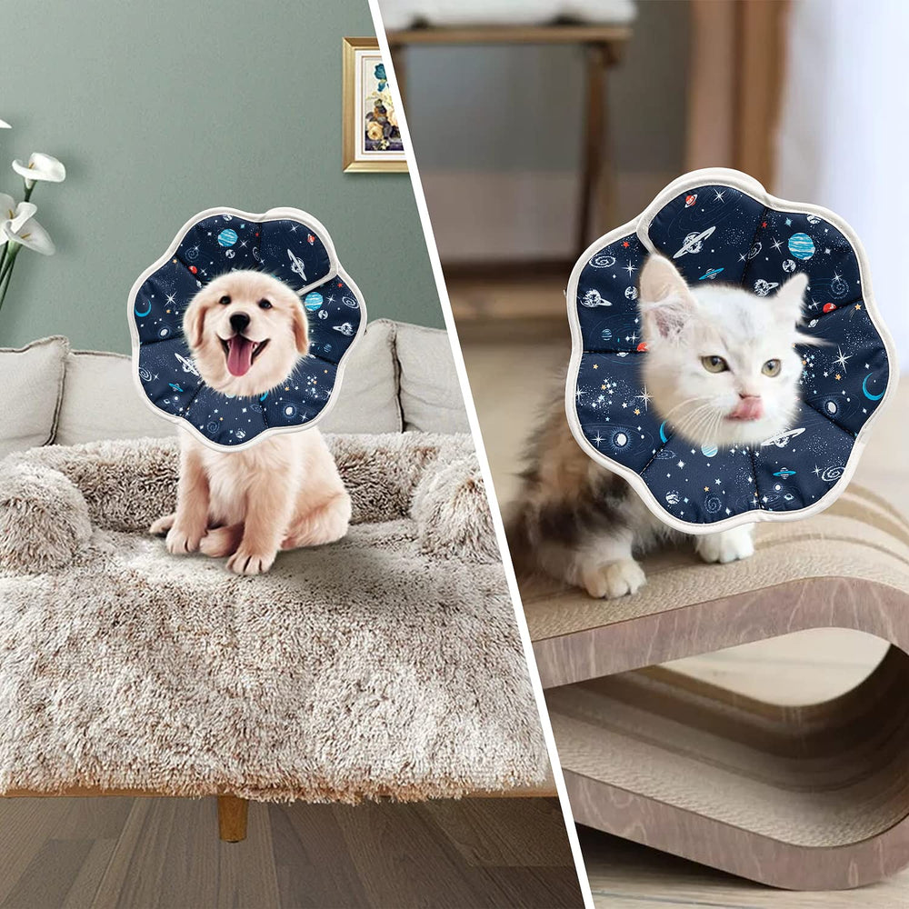 Depets cone chat design mignon pour un look charmant