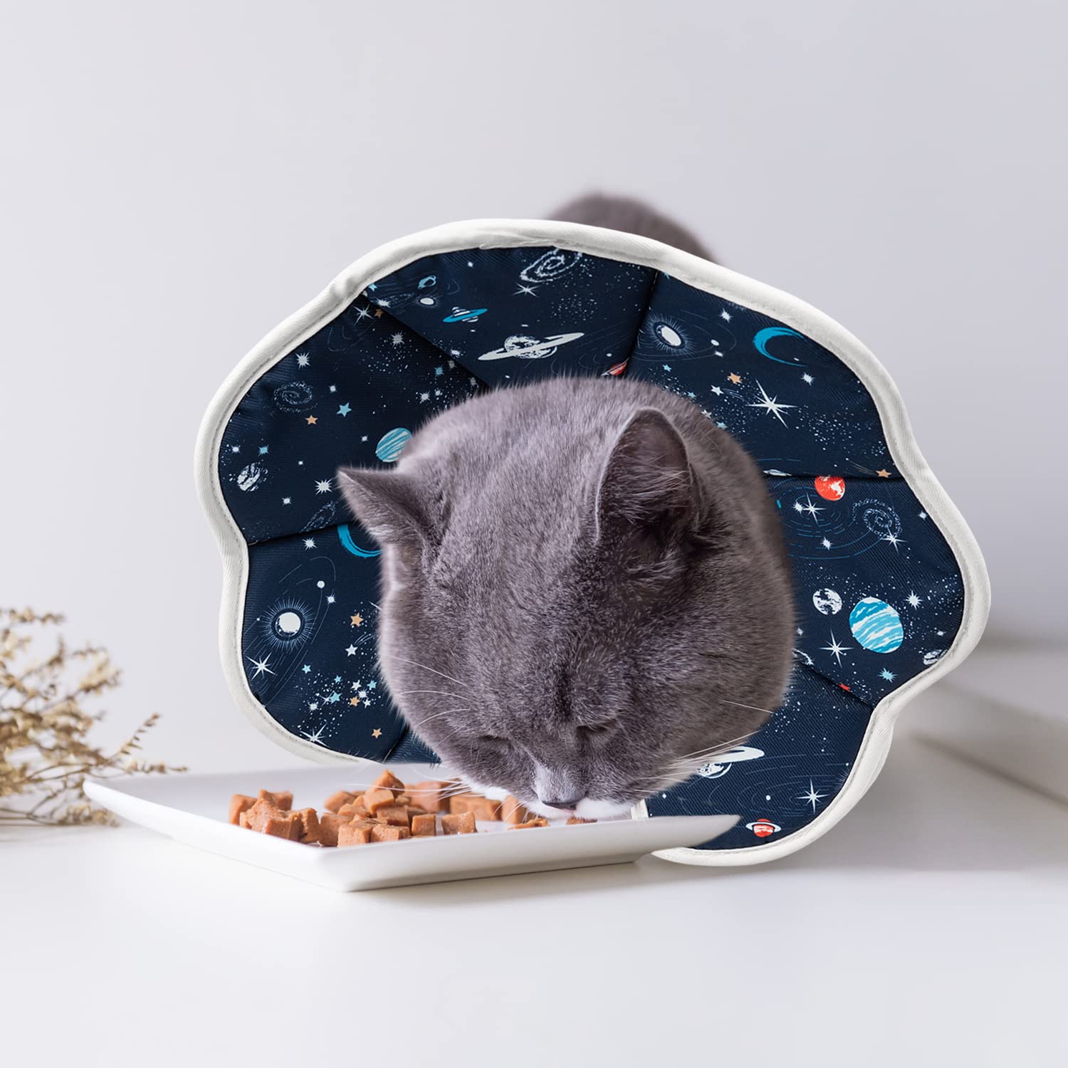 Depets cone chat reglable avec velcro pour ajuste rapide et securise