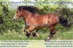 Couverture Derby Originals avec isolation 150 g pour poulains et mini-chevaux, chaleur légère.