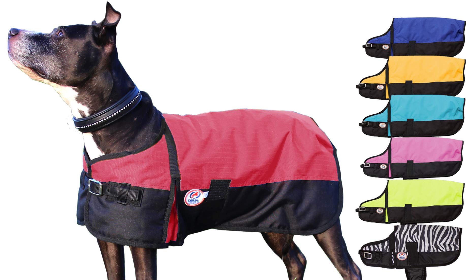 Veste Derby Originals pour chien imperméable 600D résistant et profil mince