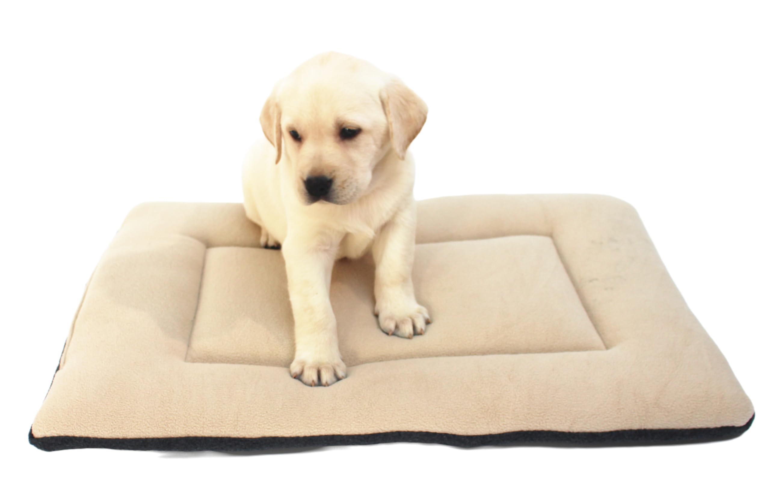 DERICOR lit chien double-face beige-gris, confort durable.