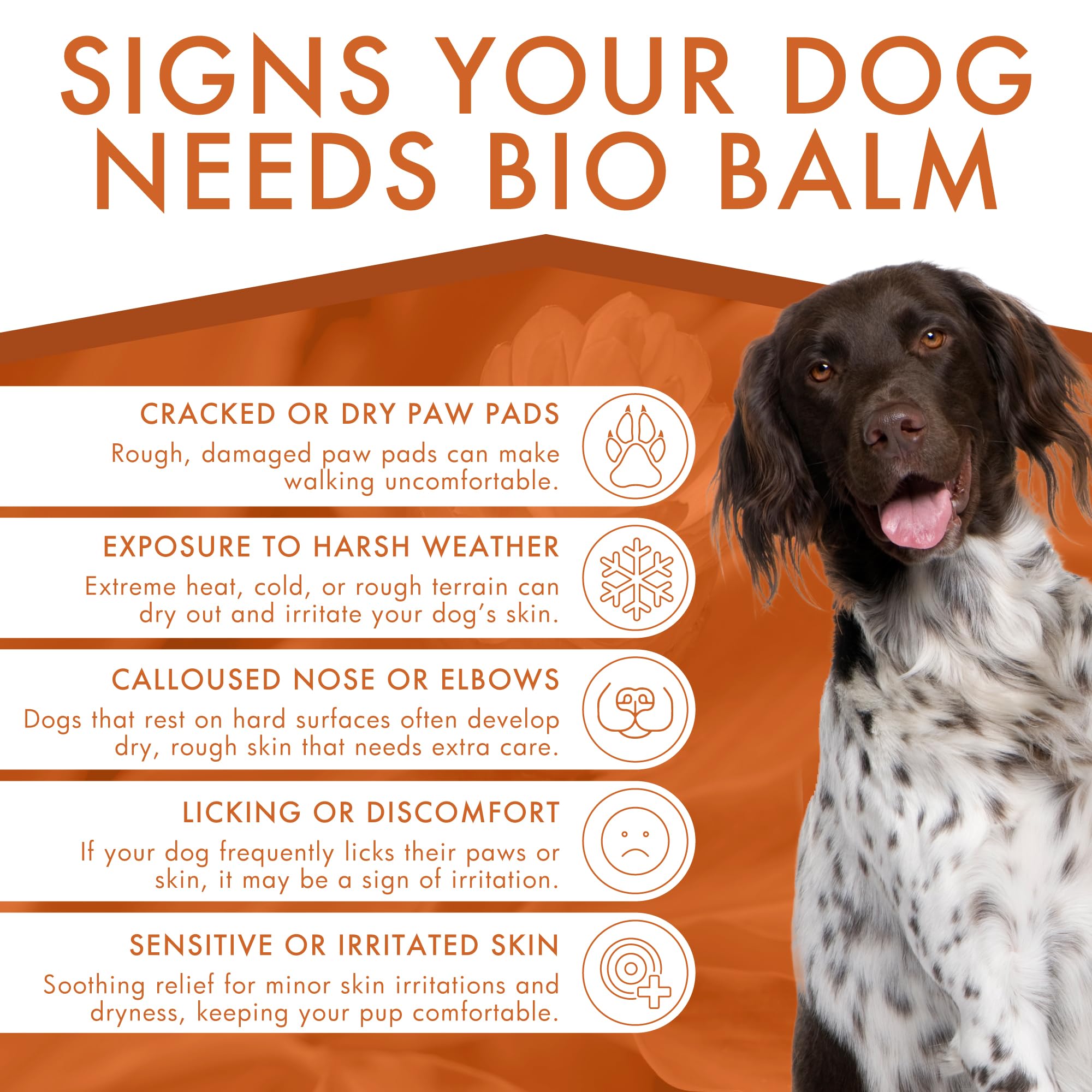 Dermoscent Bio Balm – application-pattes: application facile sur les pattes.
