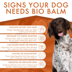 Dermoscent Bio Balm – application-pattes: application facile sur les pattes.