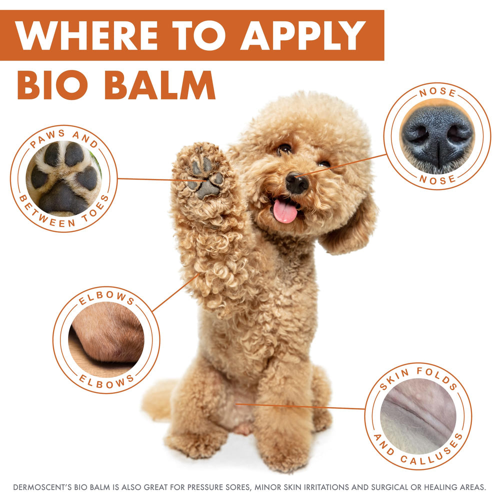 Dermoscent Bio Balm – texture-riche: texture épaisse s’étalant facilement.