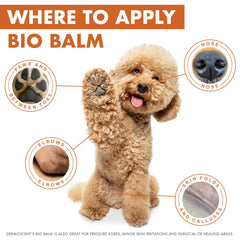 Dermoscent Bio Balm – texture-riche: texture épaisse s’étalant facilement.