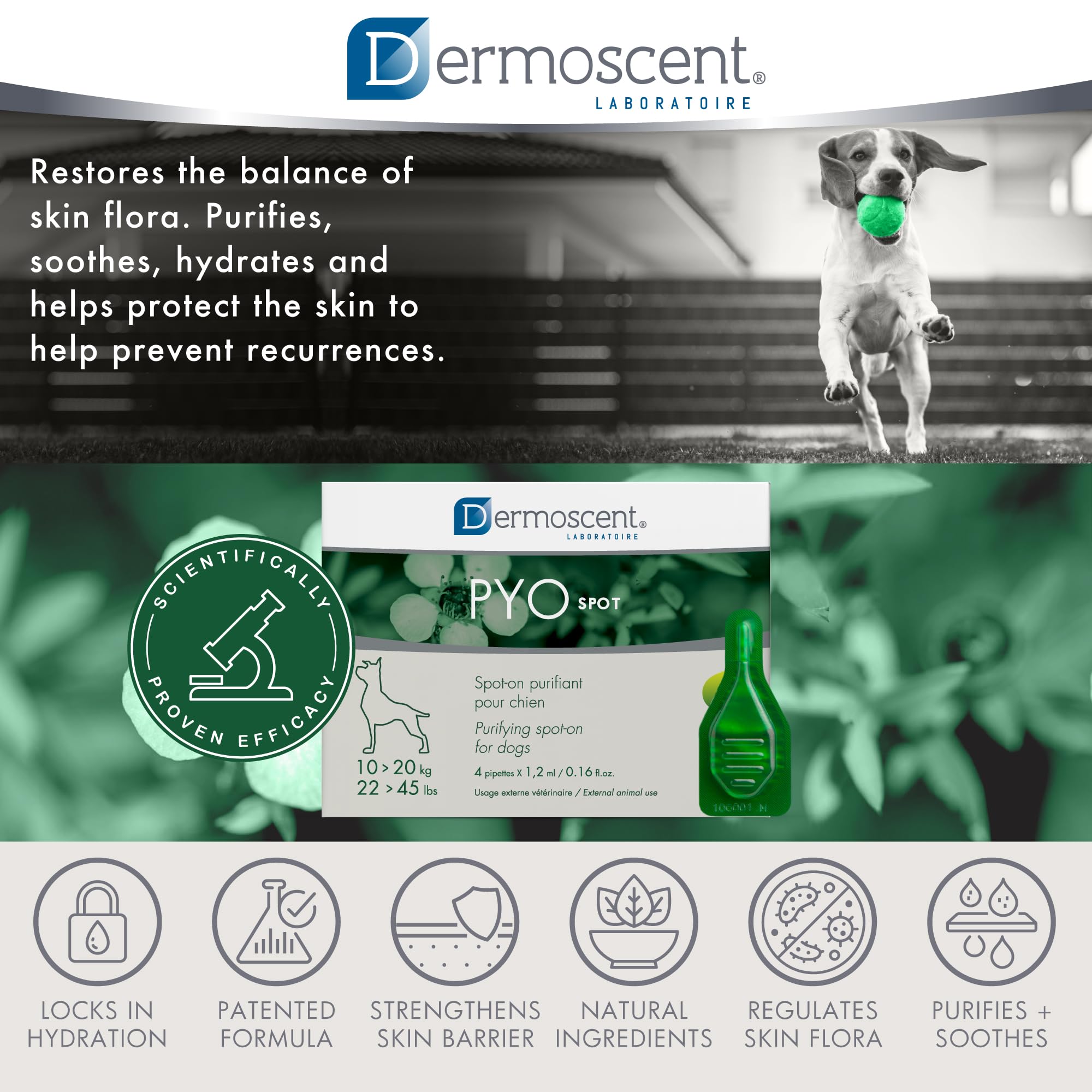 Dermoscent PYOSpot: barrière cutanée renforcée pour un confort durable.