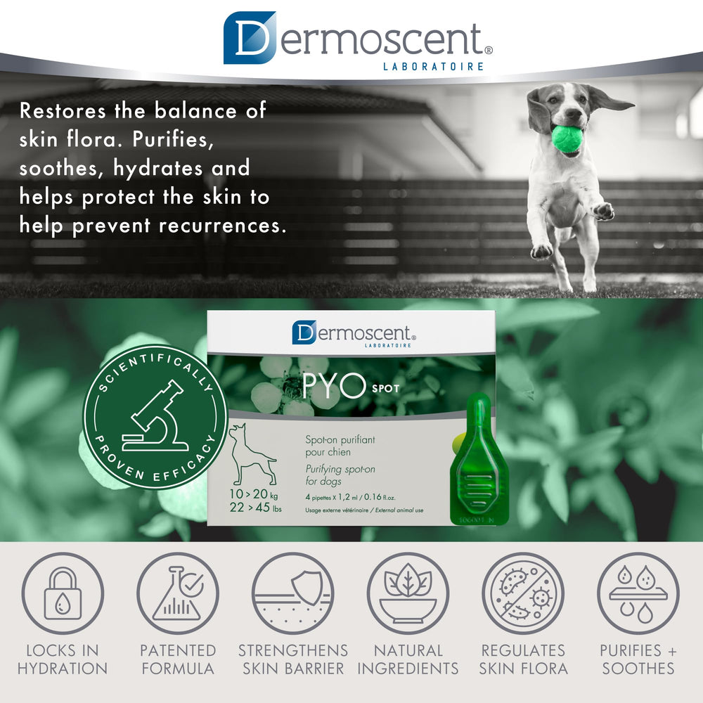 Dermoscent PYOSpot: barrière cutanée renforcée pour un confort durable.