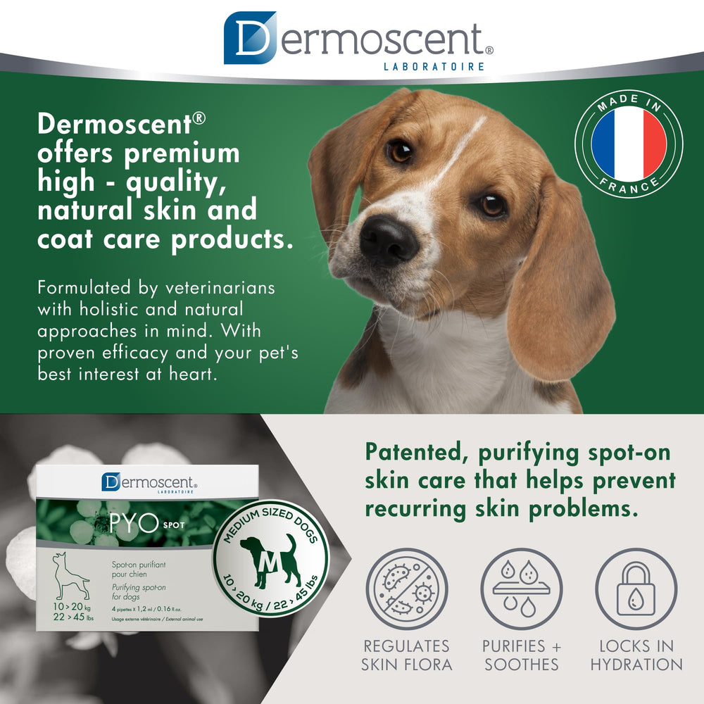 Dermoscent PYOSpot: chien au poil long, application adaptée.