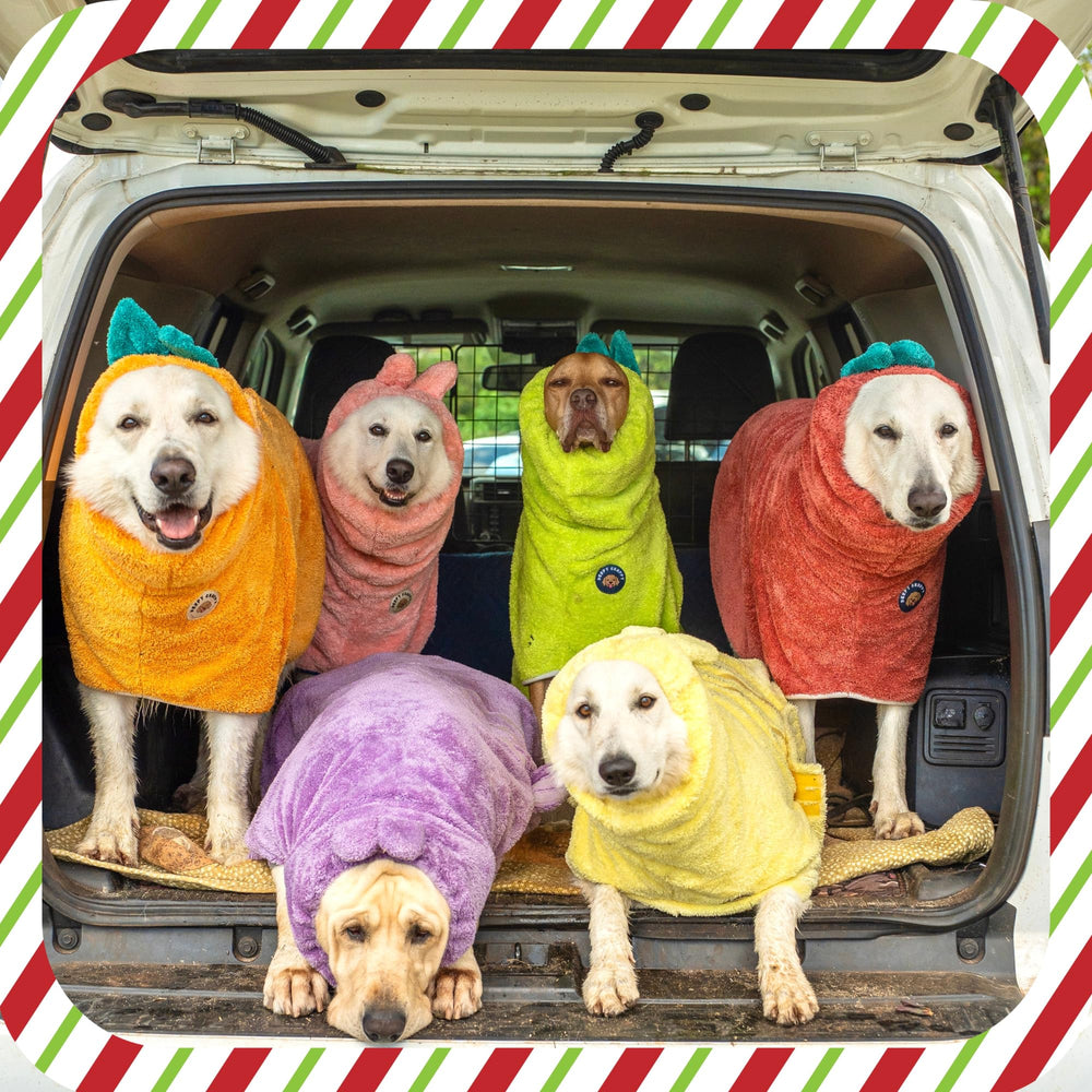 Robe DERPYCHAPPY chien, séchage rapide grâce à microfibre ultra absorbante.