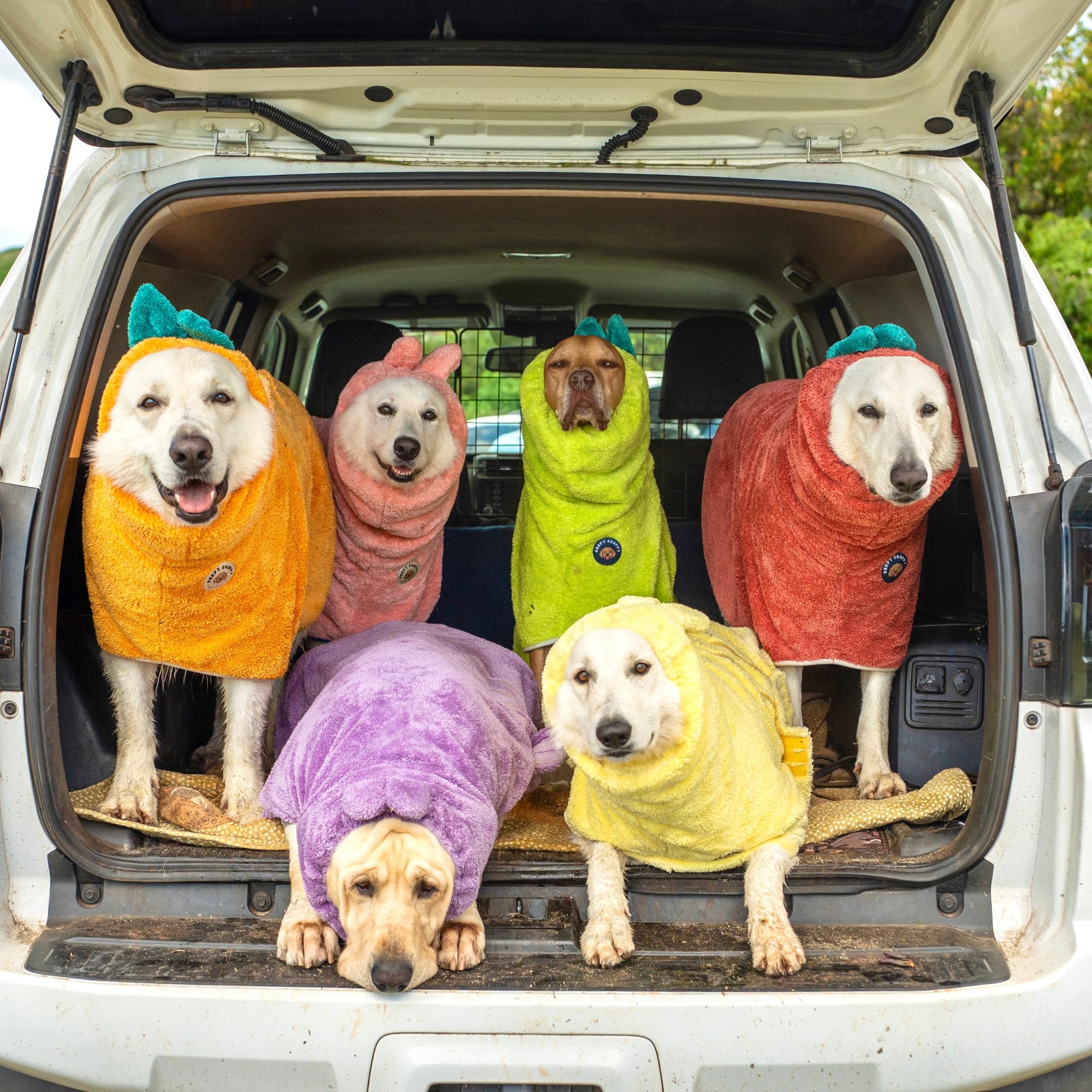 DERPYCHAPPY robe-dog-fermeture-velcro-reglage: ajustement sûr durant le séchage.