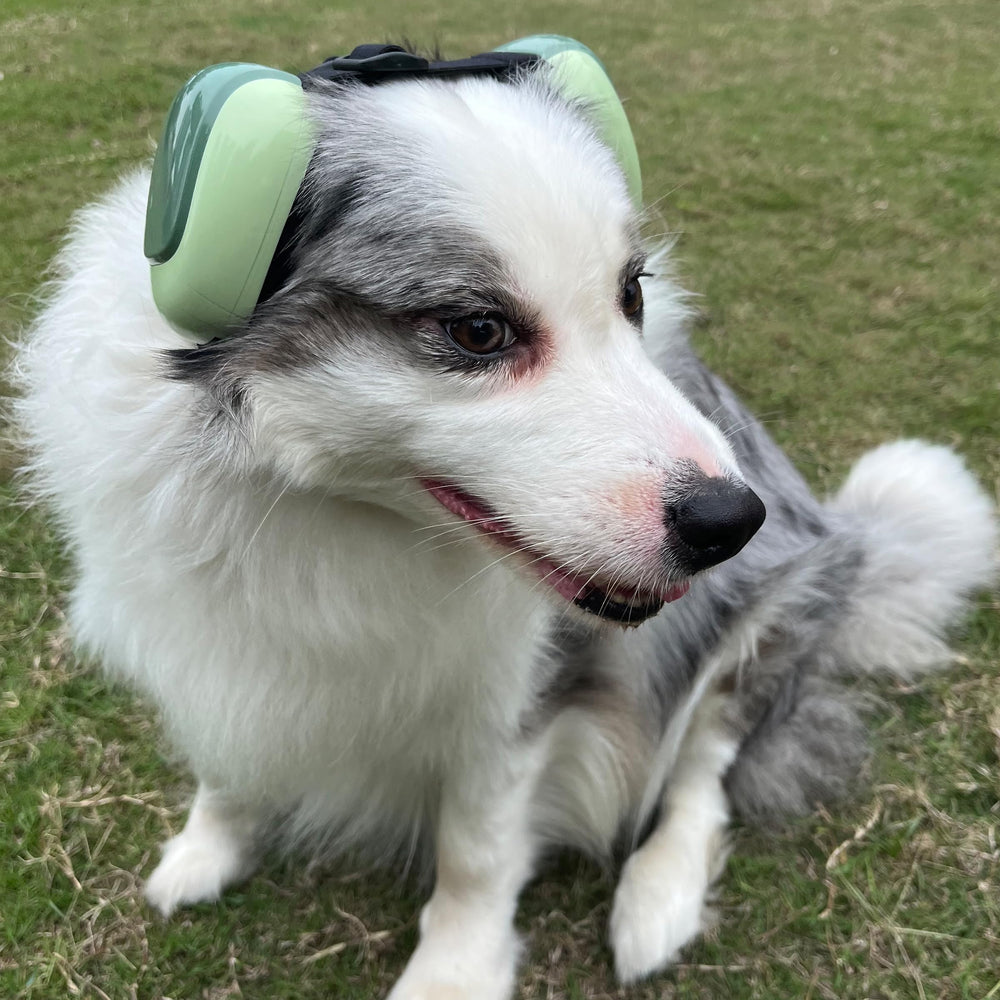 derYEP GEN2 protections oreilles chien, rembourrage ultra doux
