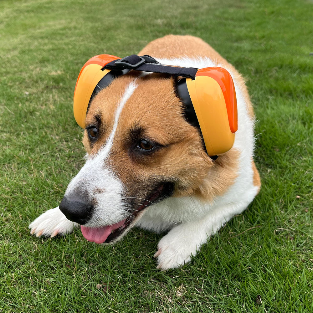 derYEP GEN2 protections oreilles chien, rangement EVA étanche