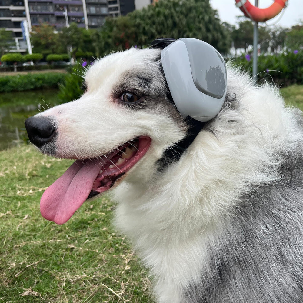 derYEP GEN2 protections oreilles chien, design coloré