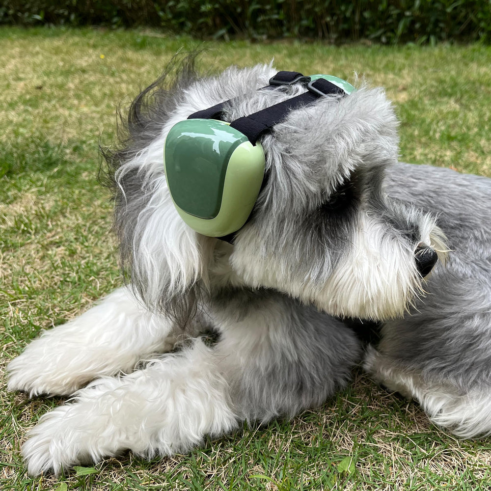 derYEP protections-oreilles chien-gen2-confort : coussin doux pour un port prolongé.
