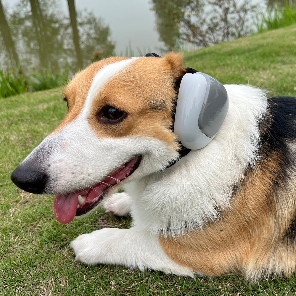 derYEP protections-oreilles chien-gen2-design : couleur tendance adaptée au pelage.