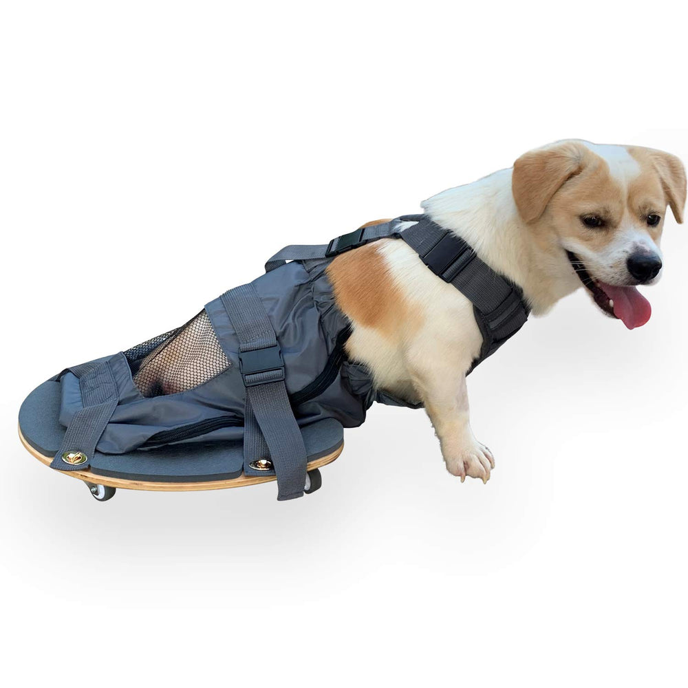 derYEP scooter pour chien paralysé - vue avant, soutien fiable et mobilité
