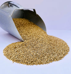 Desert Valley Canary Seed – utilisation au sol facile dans les stations d'alimentation extérieures.