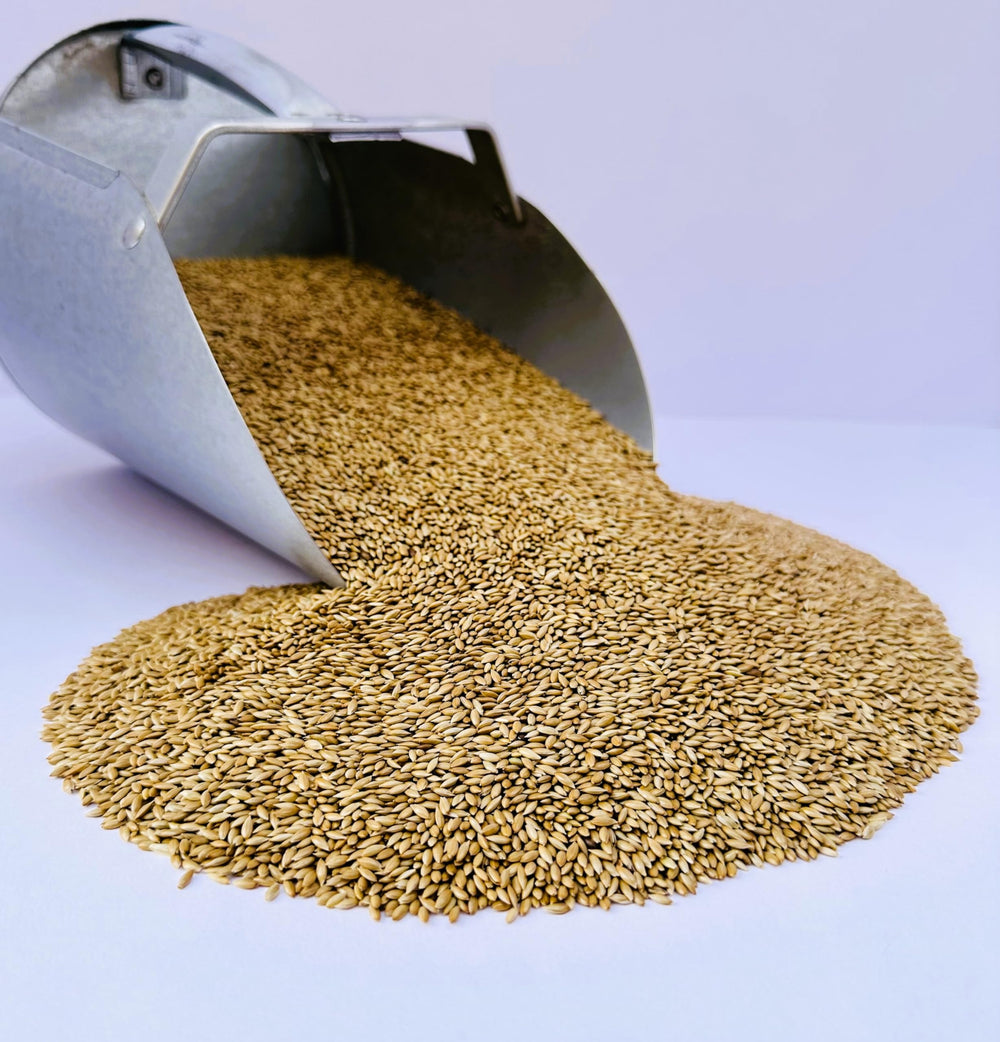 Desert Valley Supply – emballage refermable facilitant le stockage et la qualité.