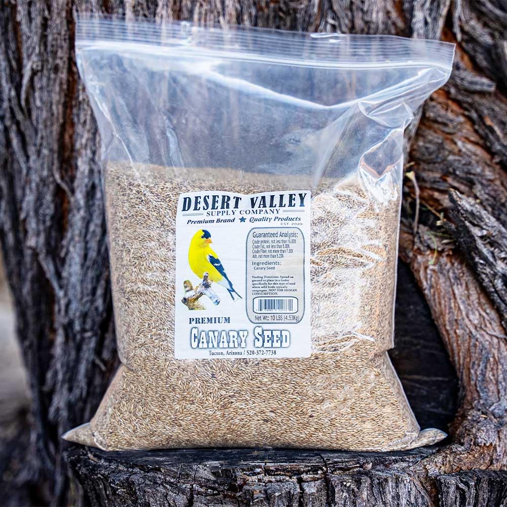 Desert Valley Supply – canaris et autres oiseaux attirés par les graines.