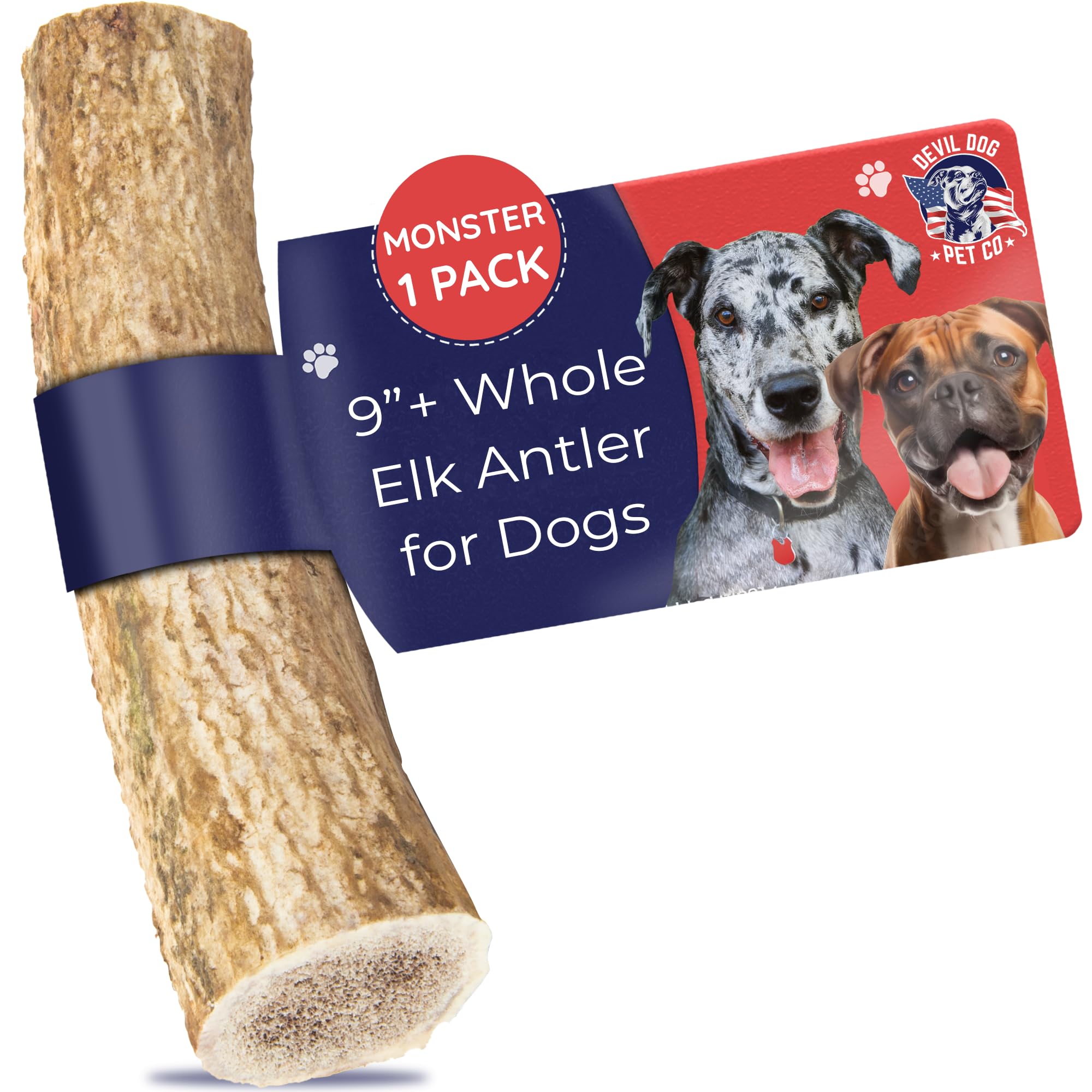 Devil Dog Pet Co - corne de elan monster 12,5 oz : mastication durable pour chiens puissants.
