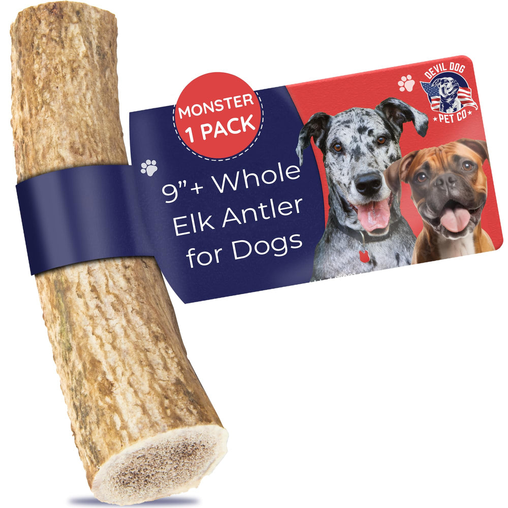 Devil Dog Pet Co - corne de elan monster 12,5 oz : mastication durable pour chiens puissants.