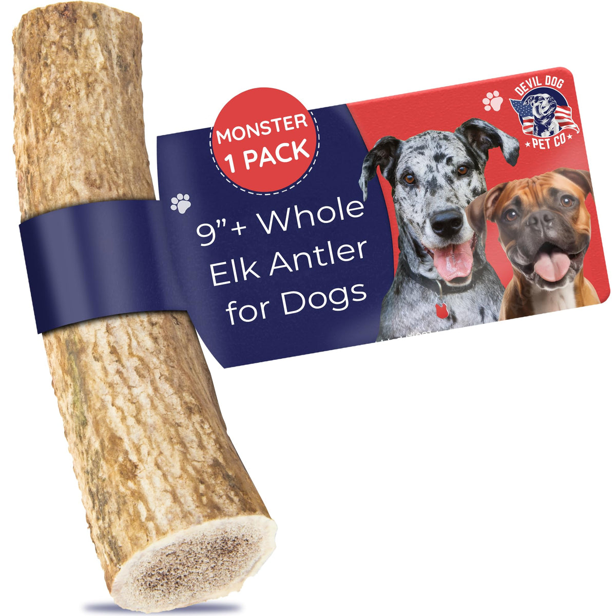Devil Dog Pet Co - corne de elan monster 12,5 oz : mastication durable pour chiens puissants.