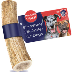 Devil Dog Pet Co - corne de elan monster 12,5 oz : mastication durable pour chiens puissants.