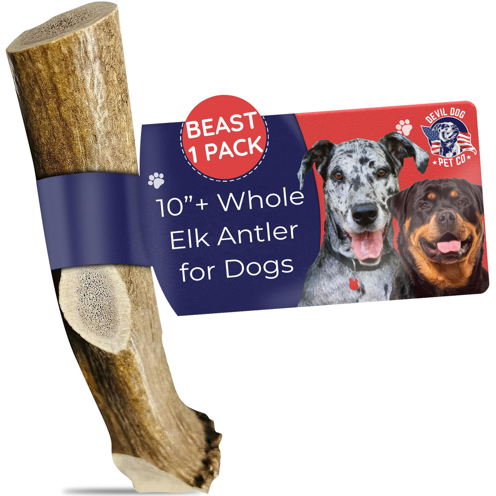 Devil Dog Pet Co corne d'elan 15oz, mastic durable pour chiens géants.