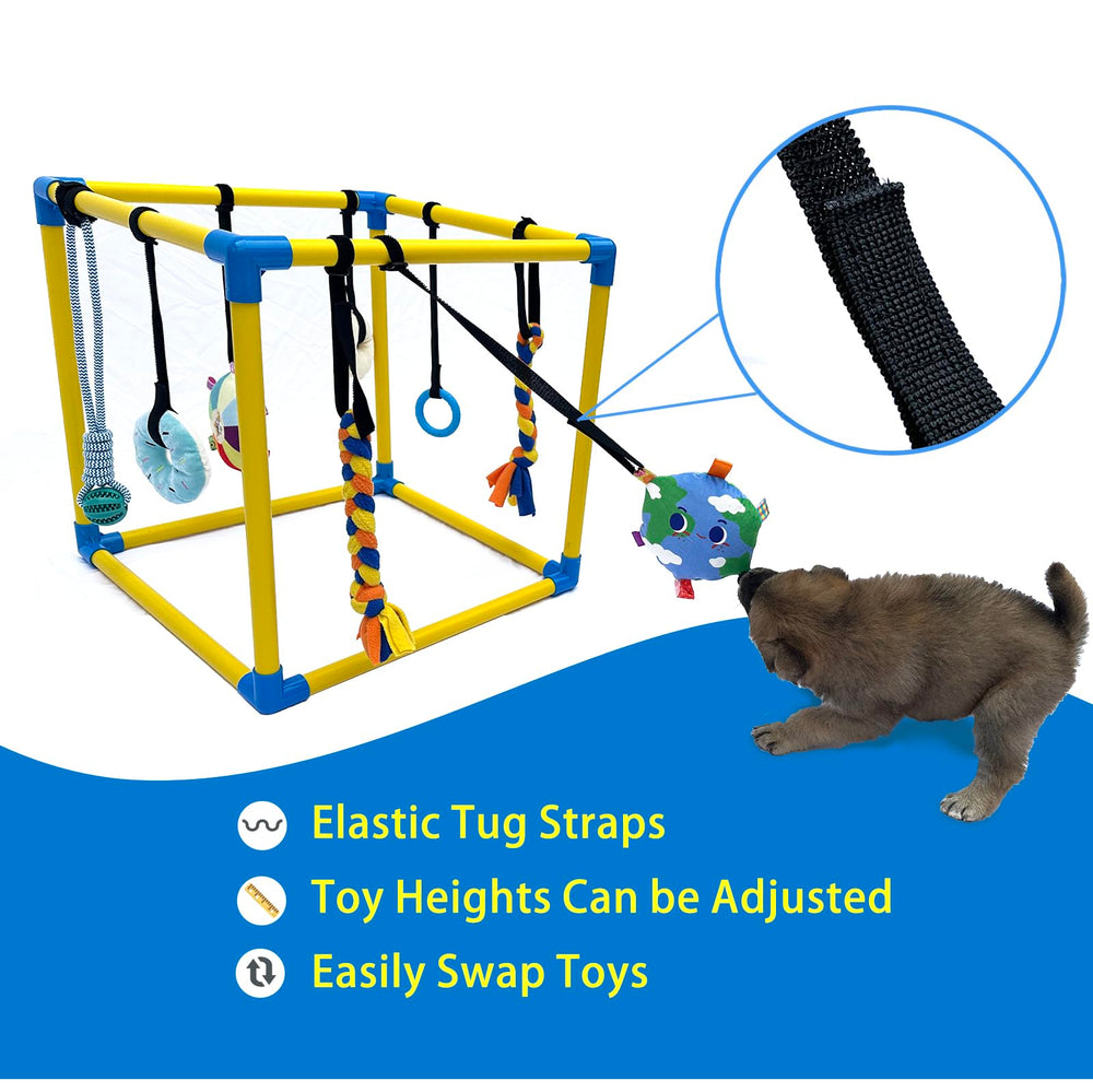 Dewonch Gym montre la suspension bungee réglable pour jeux autonomes.