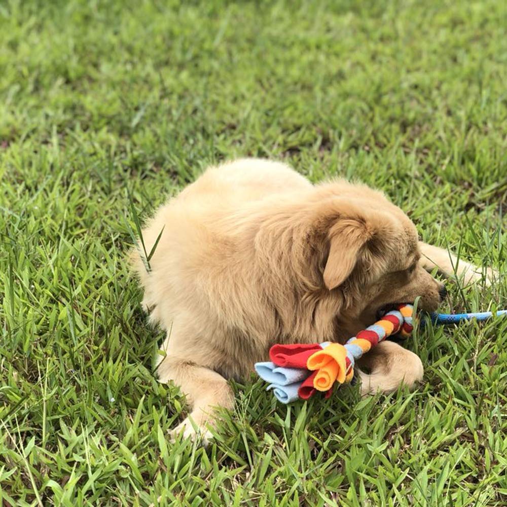 Jouet Dewonch au design motif chien, stimule instinct de poursuite et tirage