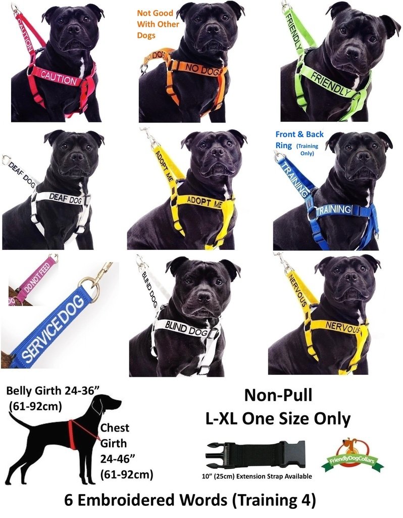 Dexil Adopt Me jaune, option de dons à une œuvre locale pendant l'achat.
