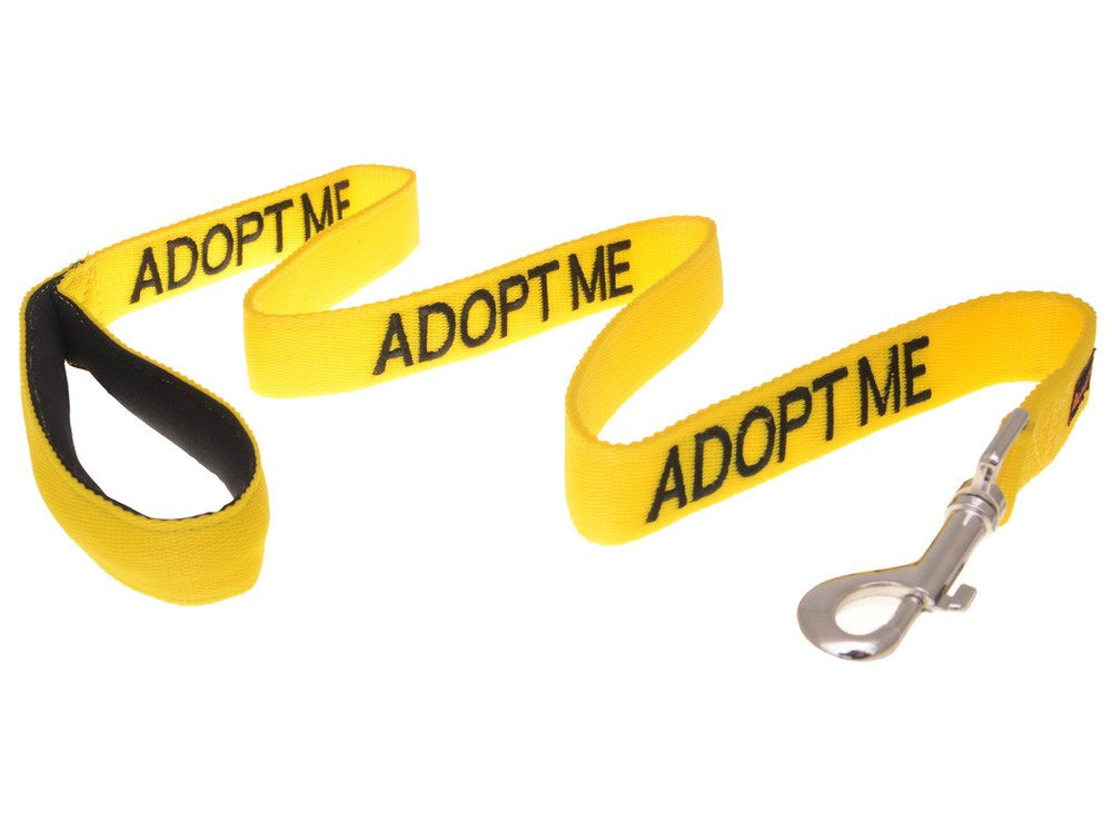 Dexil Adopt Me jaune, longe rembourrée de 4 pieds, équilibre et sécurité en public.