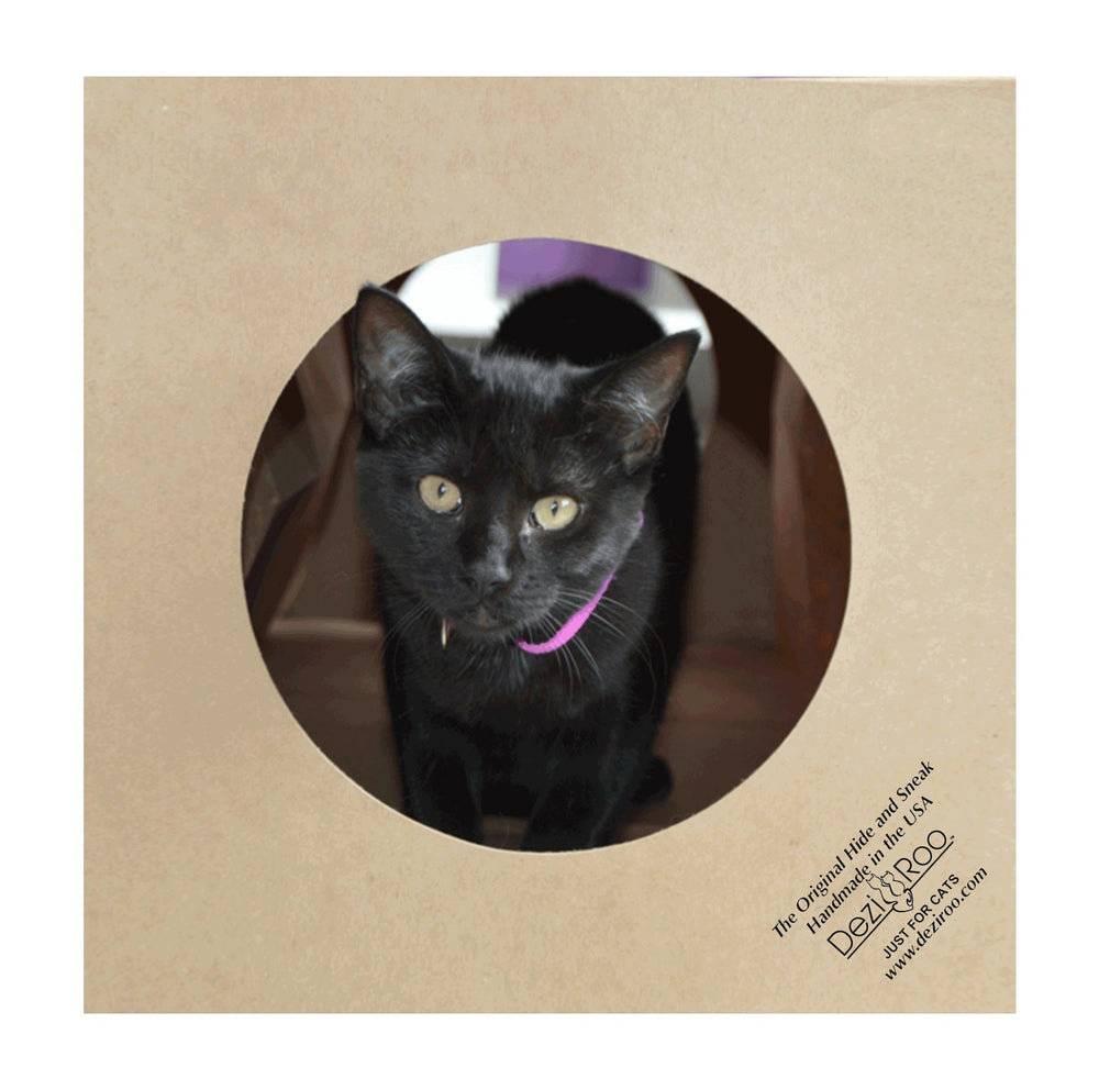 Refuge-chat douillet Dezi Roo pour cachettes amusantes.