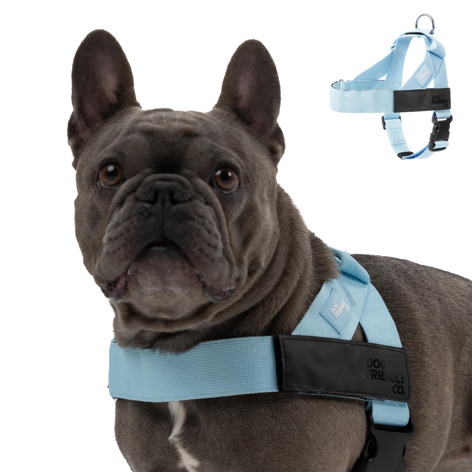 Harnais DF Co pour chien bleu ciel ajustable et confortable.
