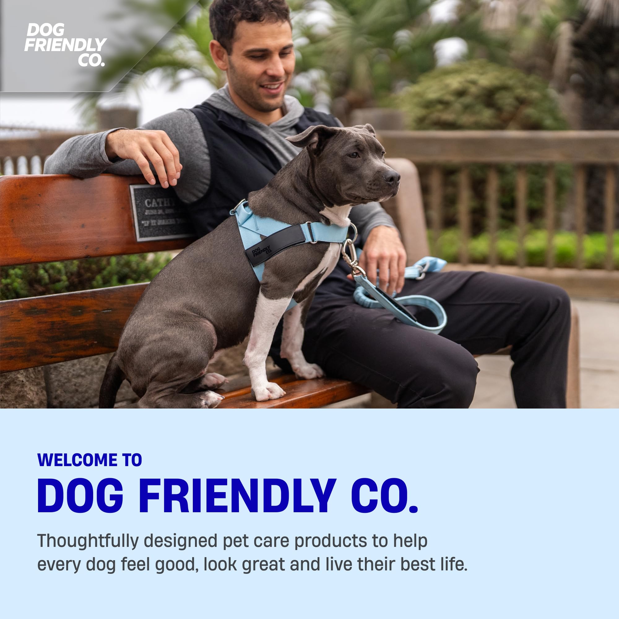 Taille XXS-XL assurant un ajustement polyvalent sur tous les chiens.