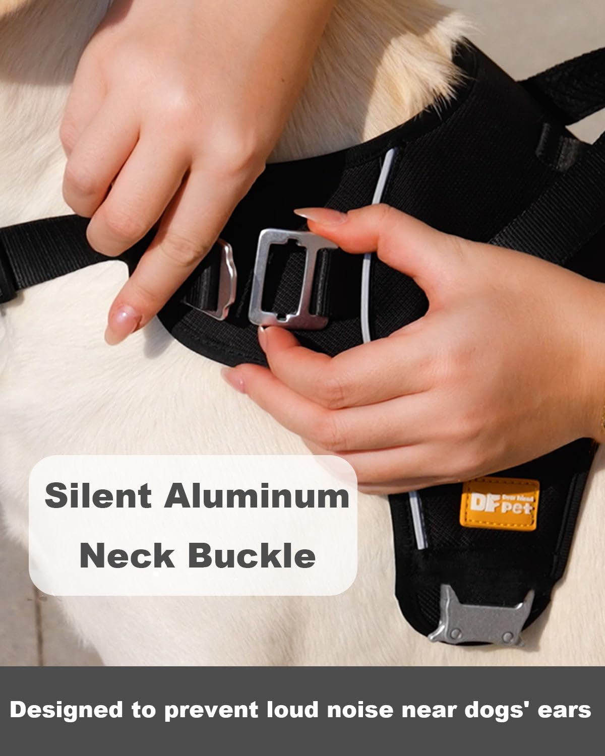 DF boucle silencieuse encolure pour chiens sensibles au bruit.