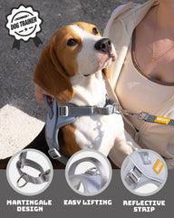 Harnais DF martingale avec clip arrière pour une marche détendue et polyvalente.