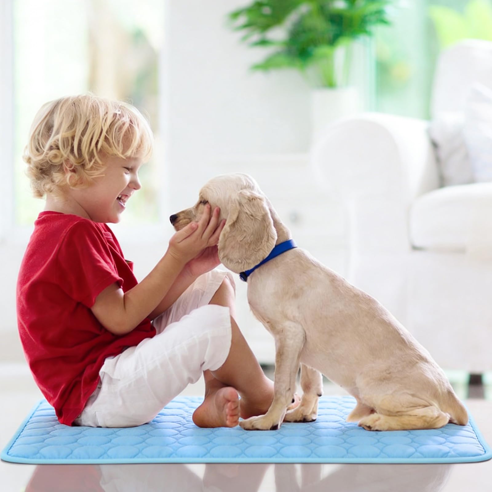 dgdgbaby matelas sans chimie, sûr pour animaux et environnement.