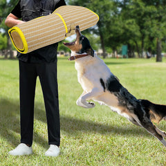 DGSL bâton d'entraînement chien pour contrôle et précision
