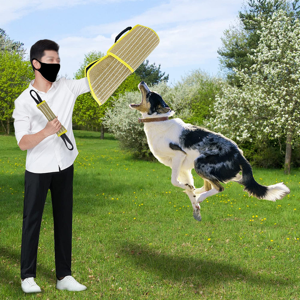 DGSL ensemble d'entraînement morsure chien pour sessions complètes