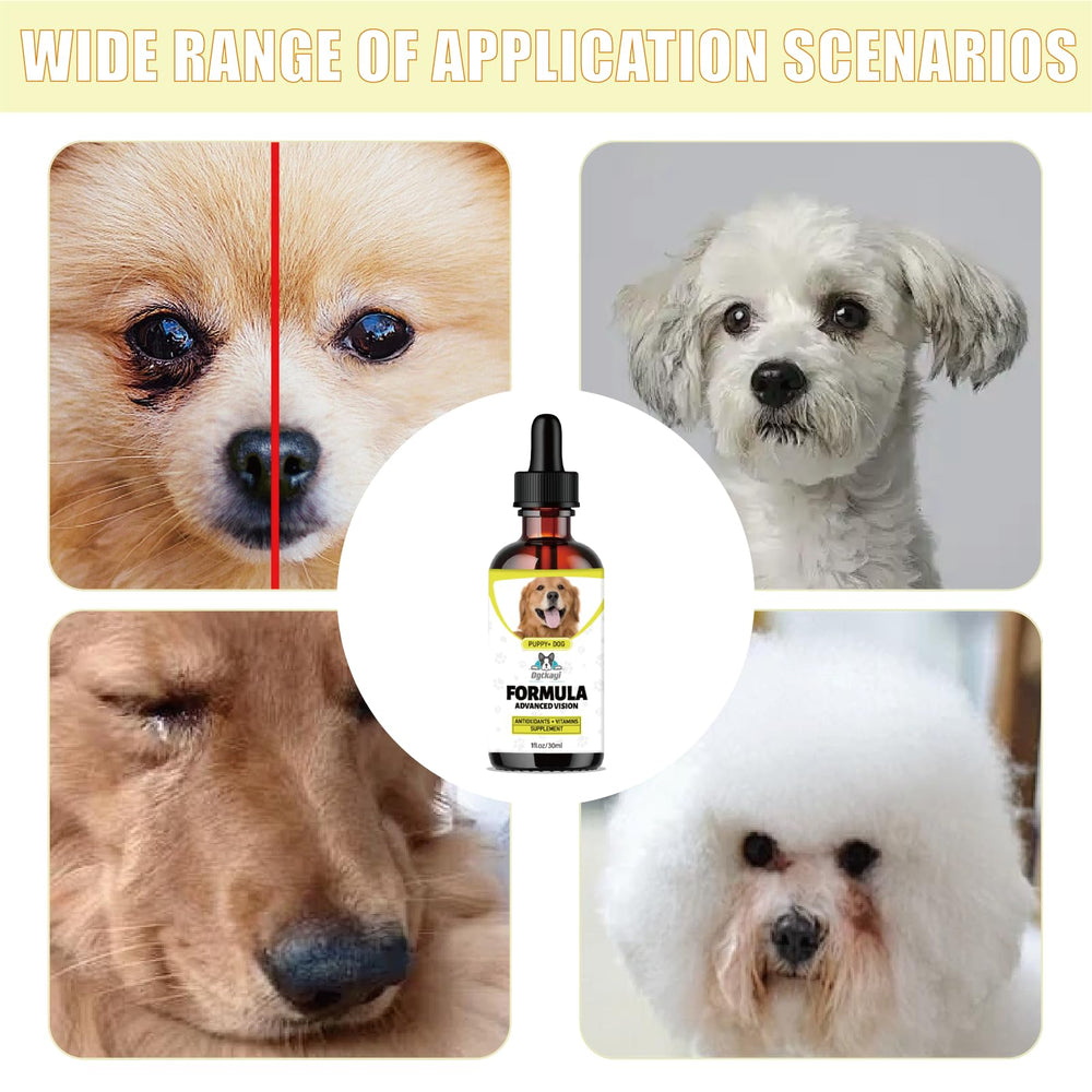Utilisation quotidienne sans produits chimiques agressifs pour chiens.
