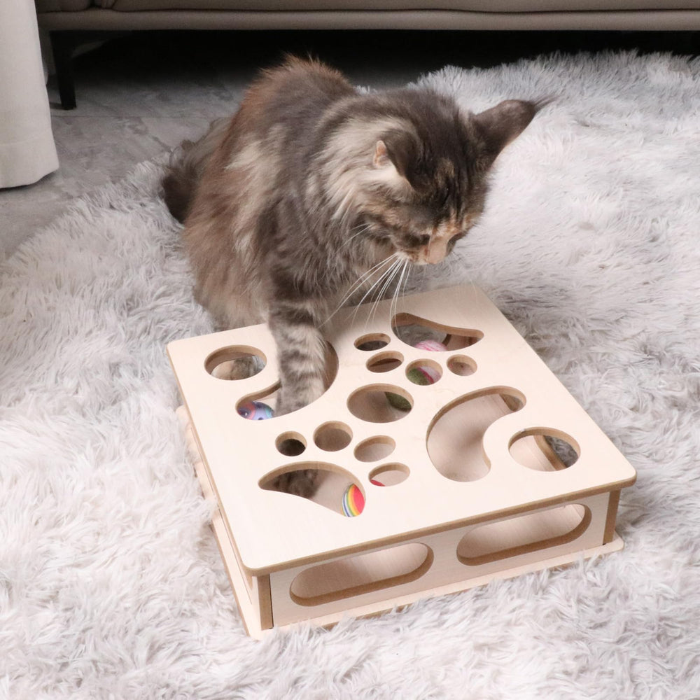 DI BI GRAMAS boite enigme chat utilisation intérieure, parfait pour chatons.