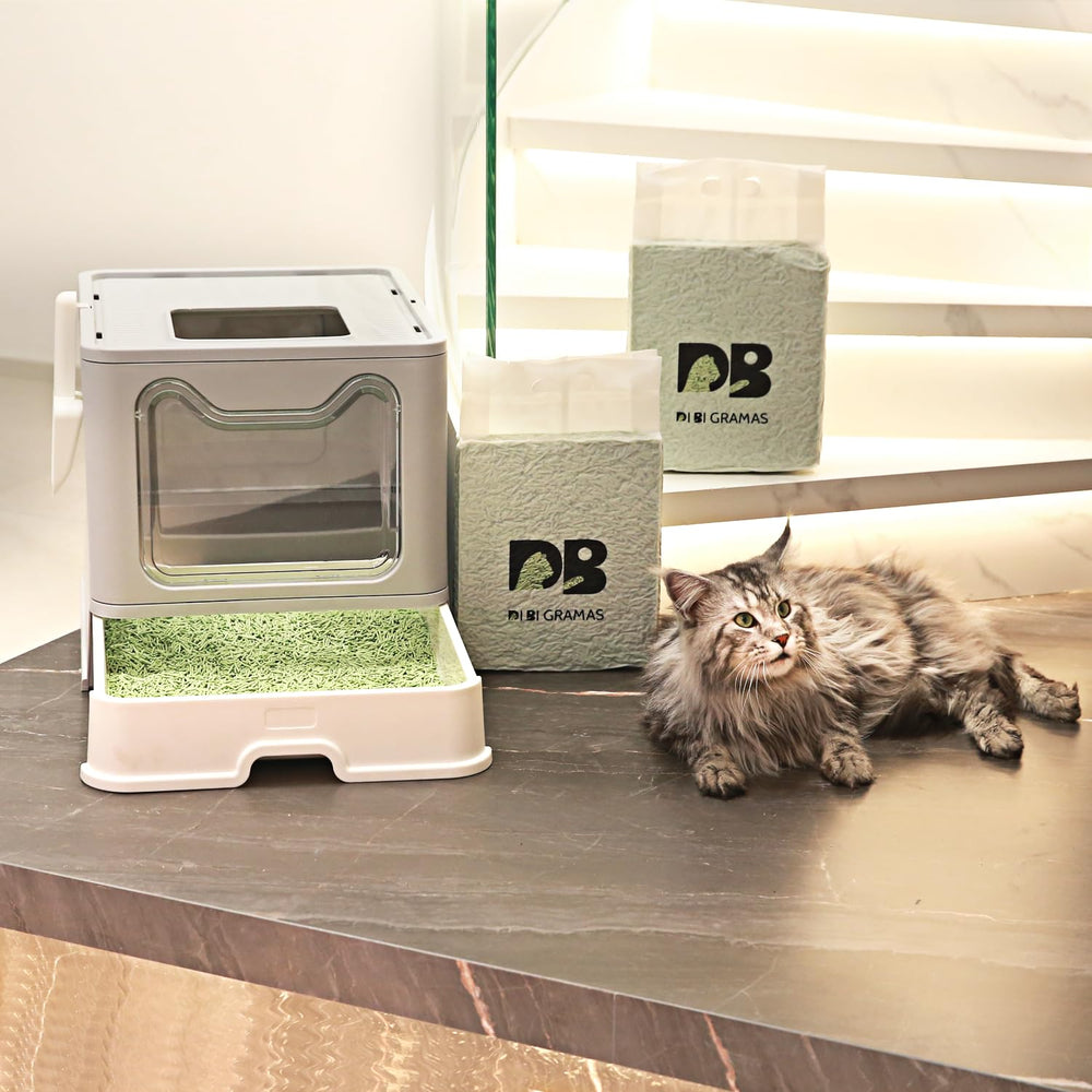 DI BI GRAMAS Litière tofu naturelle choix simple pour chats sensibles.