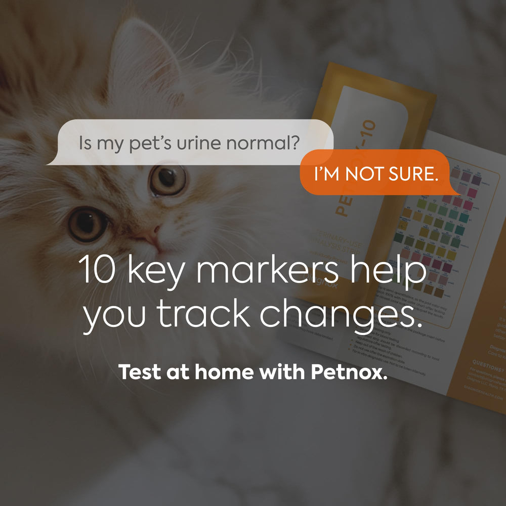DIAGNOX HEALTH PETNOX: bandes urine emballées individuellement pour des tests faciles.