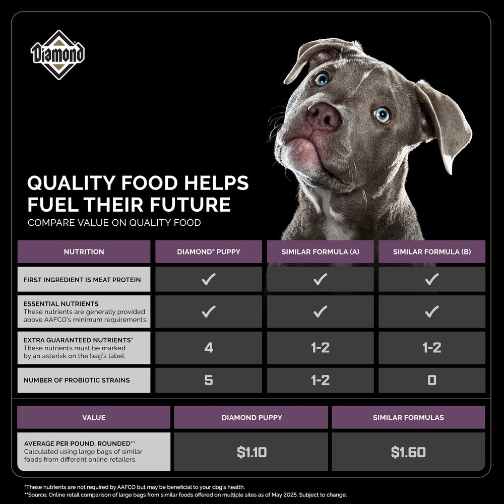 Diamond Puppy - probiotiques et antioxydants pour digestion et immunité.