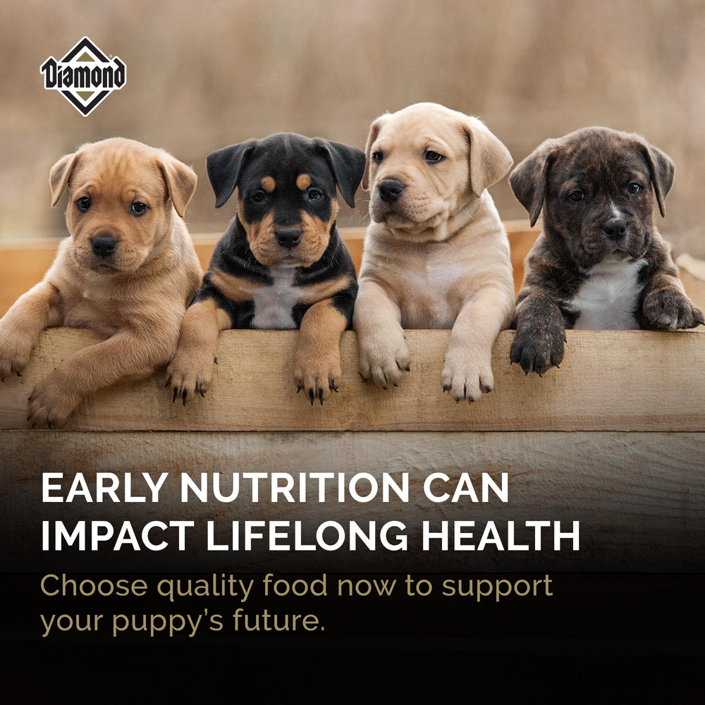 Diamond Puppy - croquettes de petite taille adaptées aux chiots en croissance.