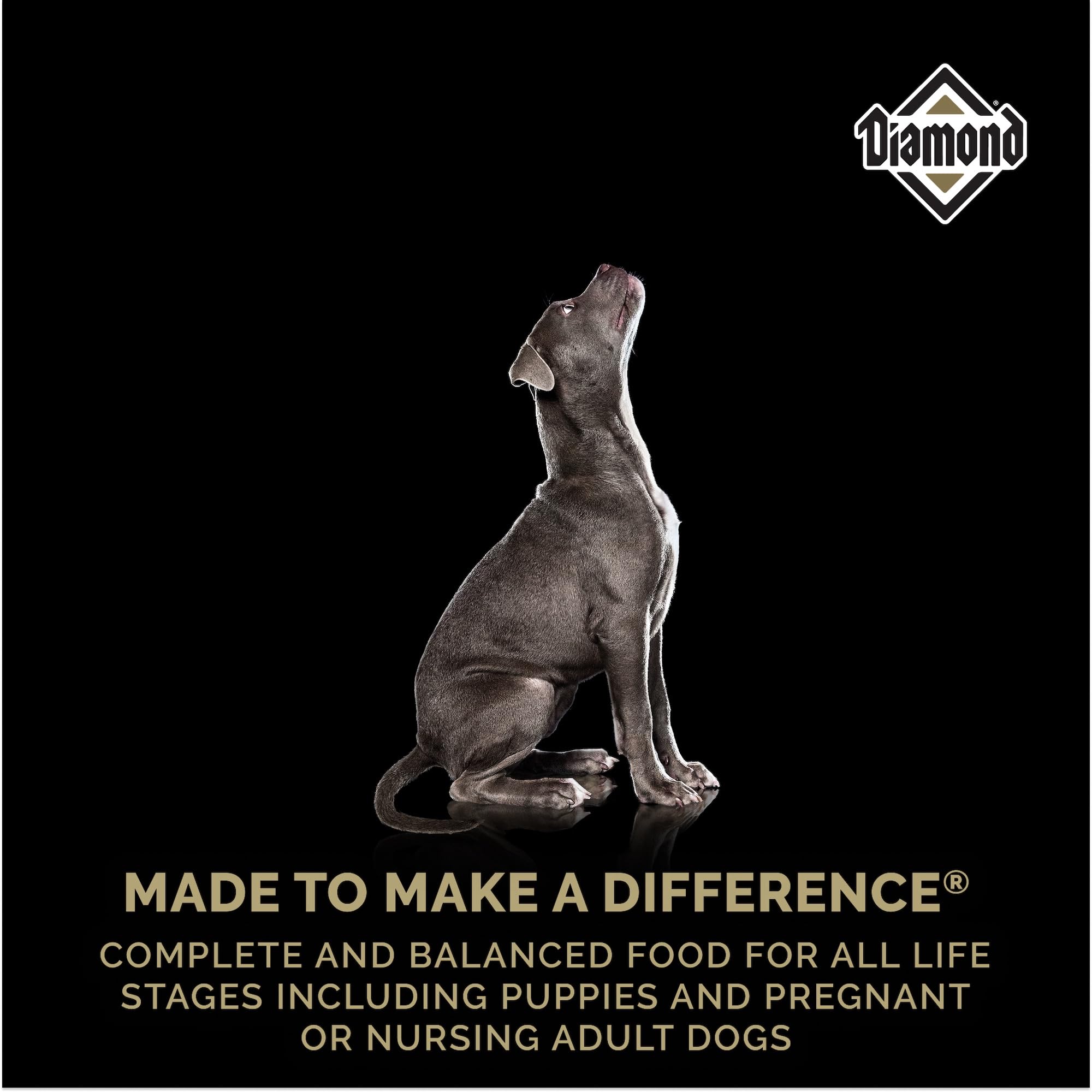 Diamond Puppy - nutrition équilibrée pour toutes les étapes de vie canines.