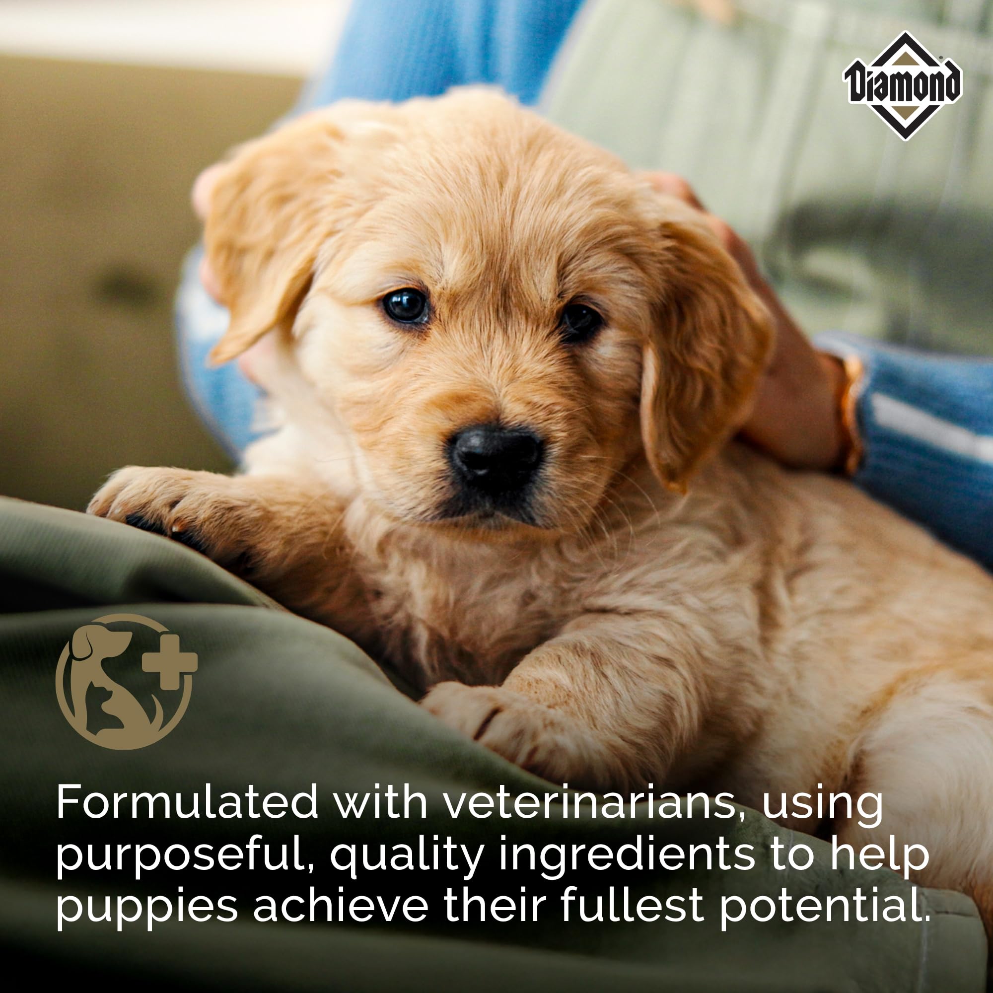 Diamond Puppy - formule familiale USA, ingrédients de qualité.