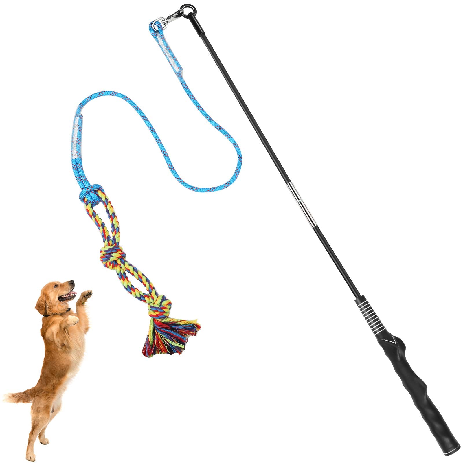 DIBBATU Flirt Pole pour chien en action, stimulant l’exercice et l’interaction.